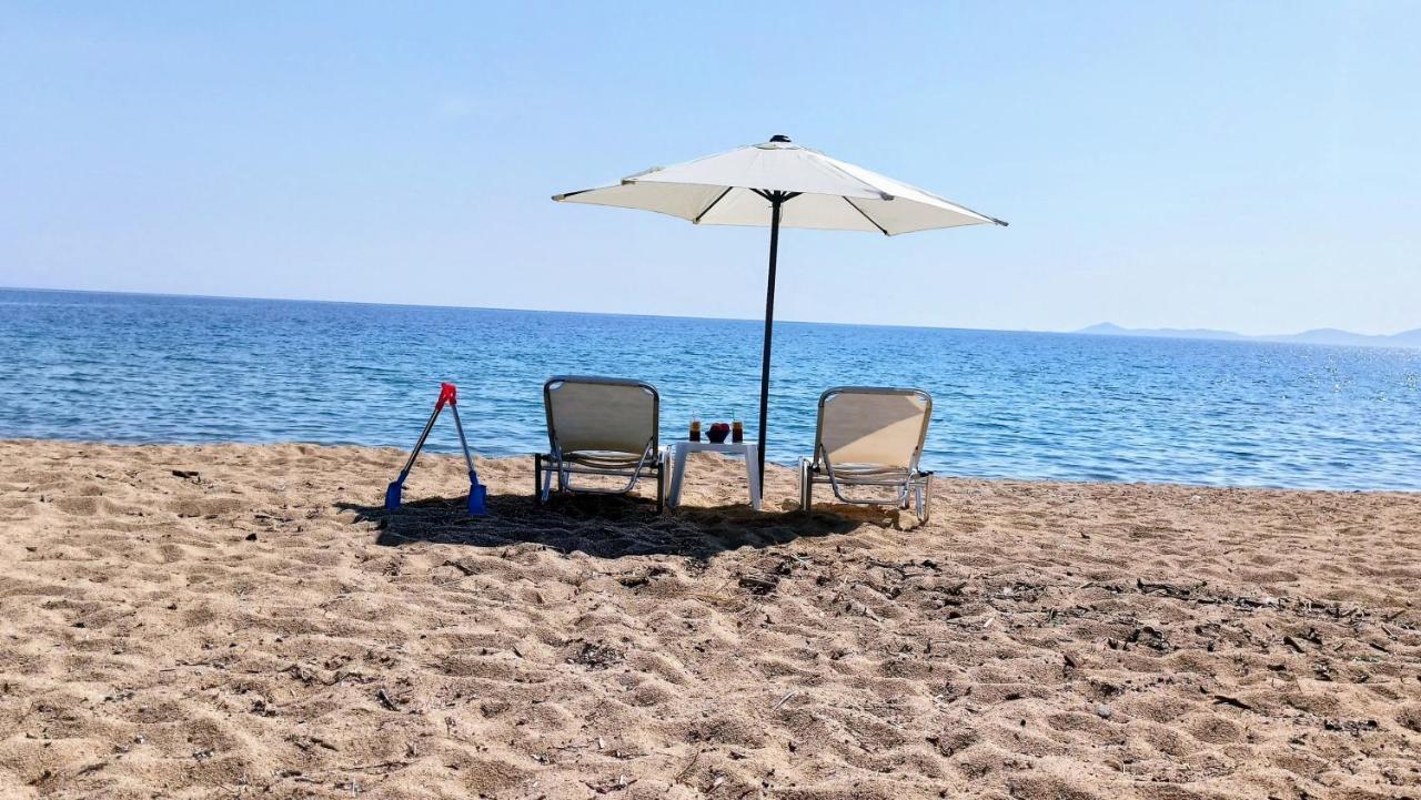 Xd Al Mare Villa Ierissós Luaran gambar